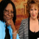 ABC news: Conclusively ABC released official statement to confirm that there will be no contract renewal for Whoopi Goldberg and Joy Behar because they are too toxic. Good decision or not? ...