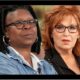 Finally: ABC issued an official statement confirming that Joy Behar and Whoopi Goldberg’s contracts will not be renewed because they are too toxic. Was it a wise choice…